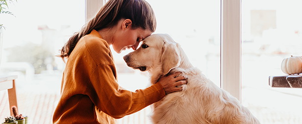 adoptowany pies może stać się najlepszym przyjacielem swojego opiekuna